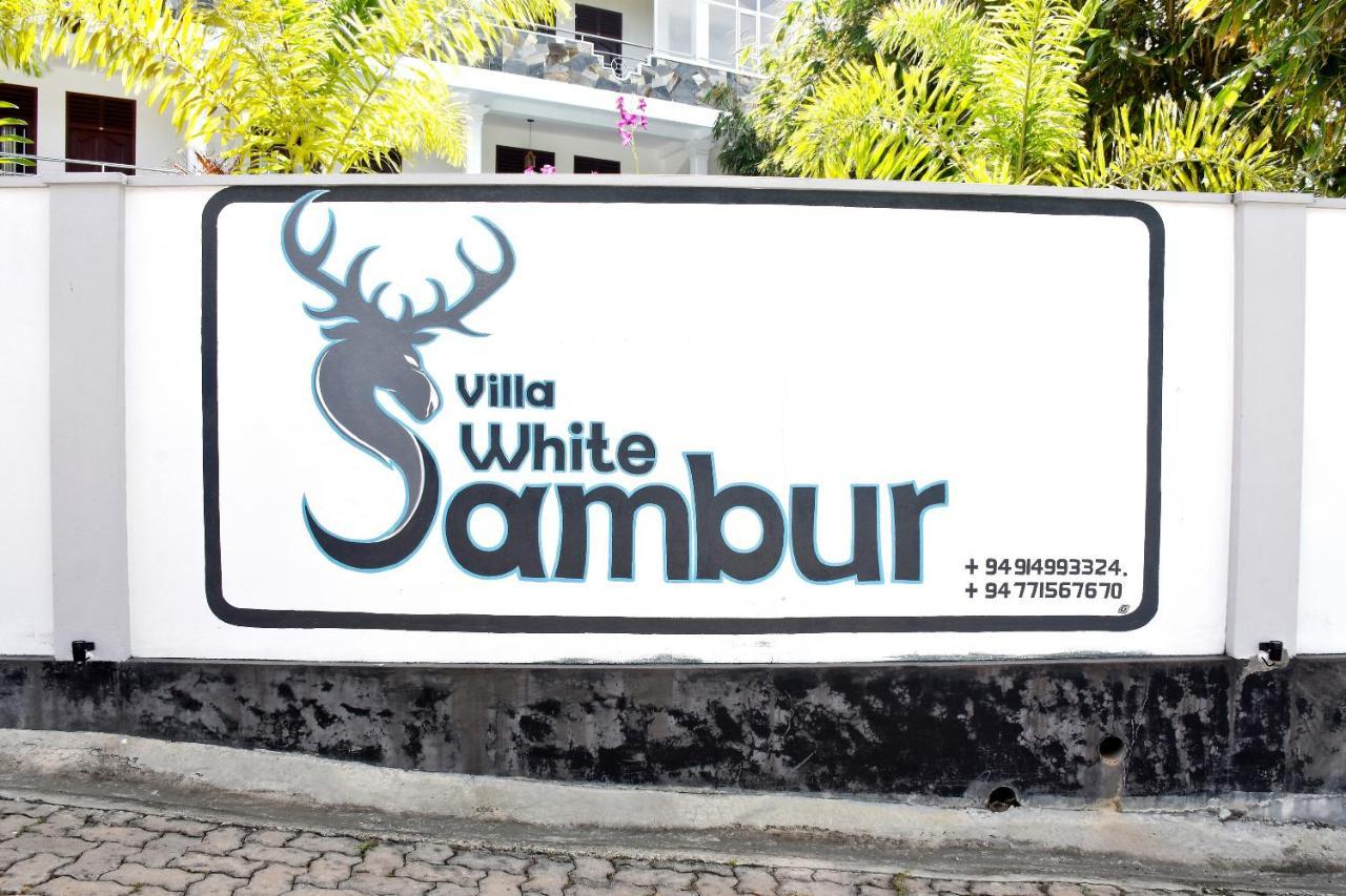 Villa De White Sambur هيكادوفا المظهر الخارجي الصورة